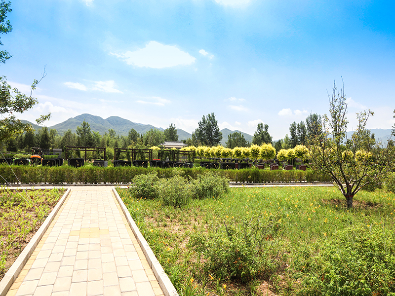 什么是堪舆之术（选墓时要注意什么）